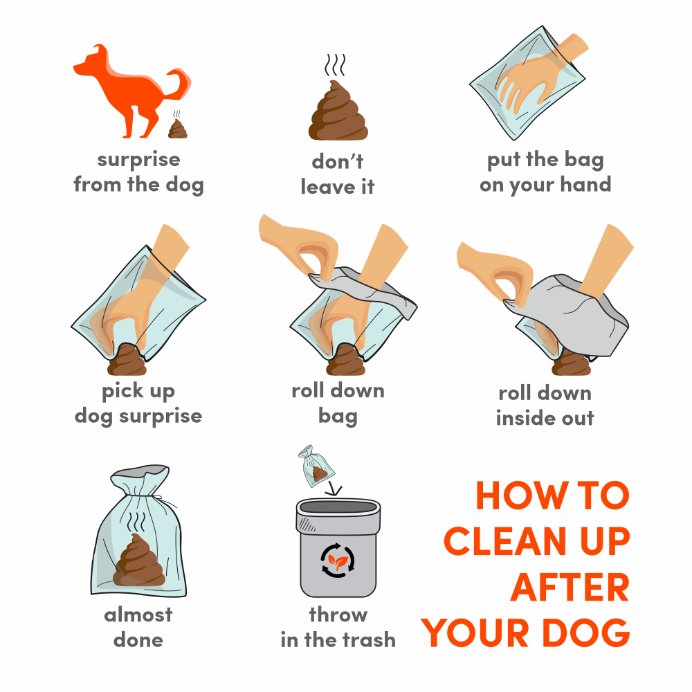 Barkbutler x Fofos Poop Bag Refills for Dogs and Cats image 3