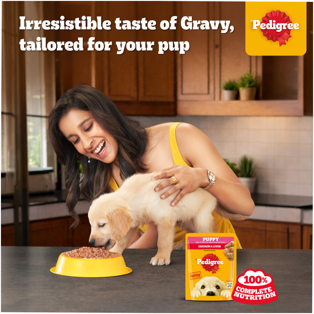 Pedigree Lamb Flavour Chunks in Gravy Puppy Wet Food image 2