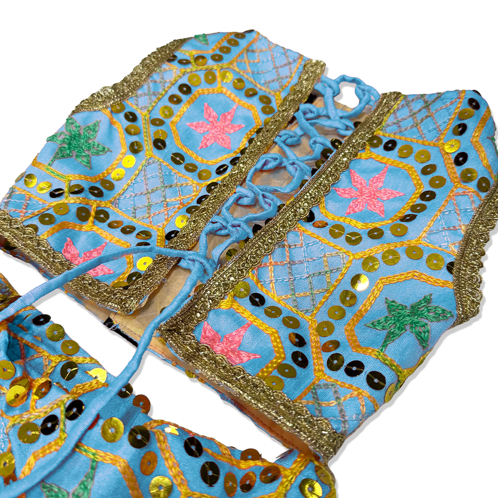 Pawsindia Traditional Desi Diva Lehenga Choli Set for Cats (Sky Blue) image 3
