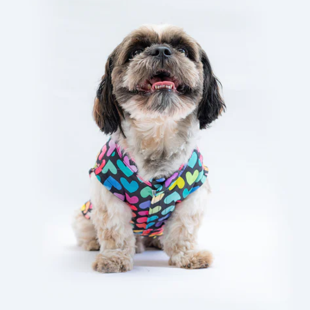 Pawgypets Multi Heart Sando for Dogs (Multi Colour) image 2