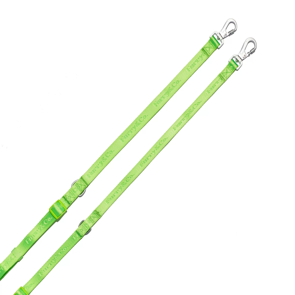 Furry & Co Ultra Harness, Leash and Collar for Dogs Combo (Limelight) - L image 6