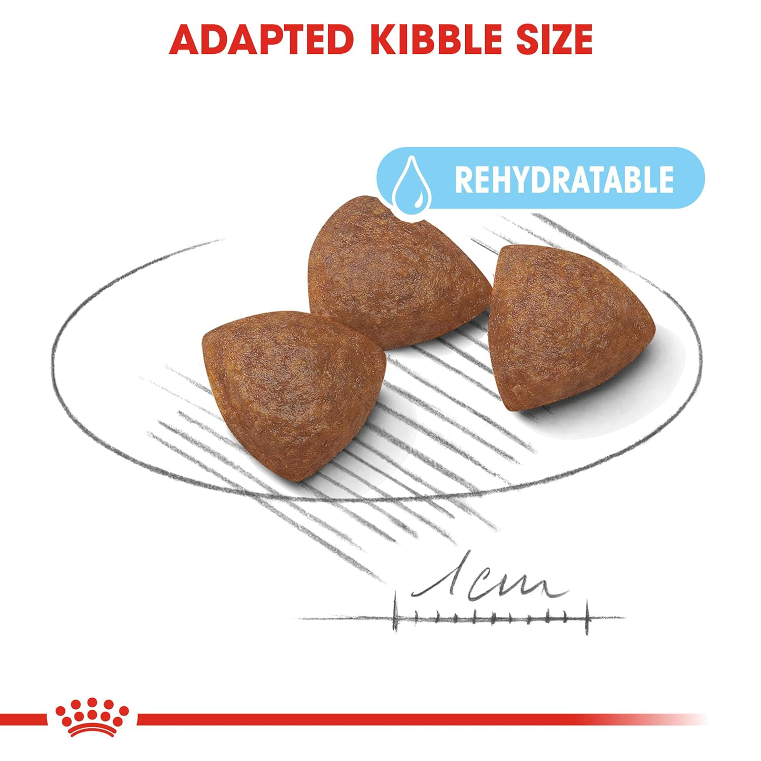 Royal Canin Medium Starter, Mother & Babydog Dry Food image 4
