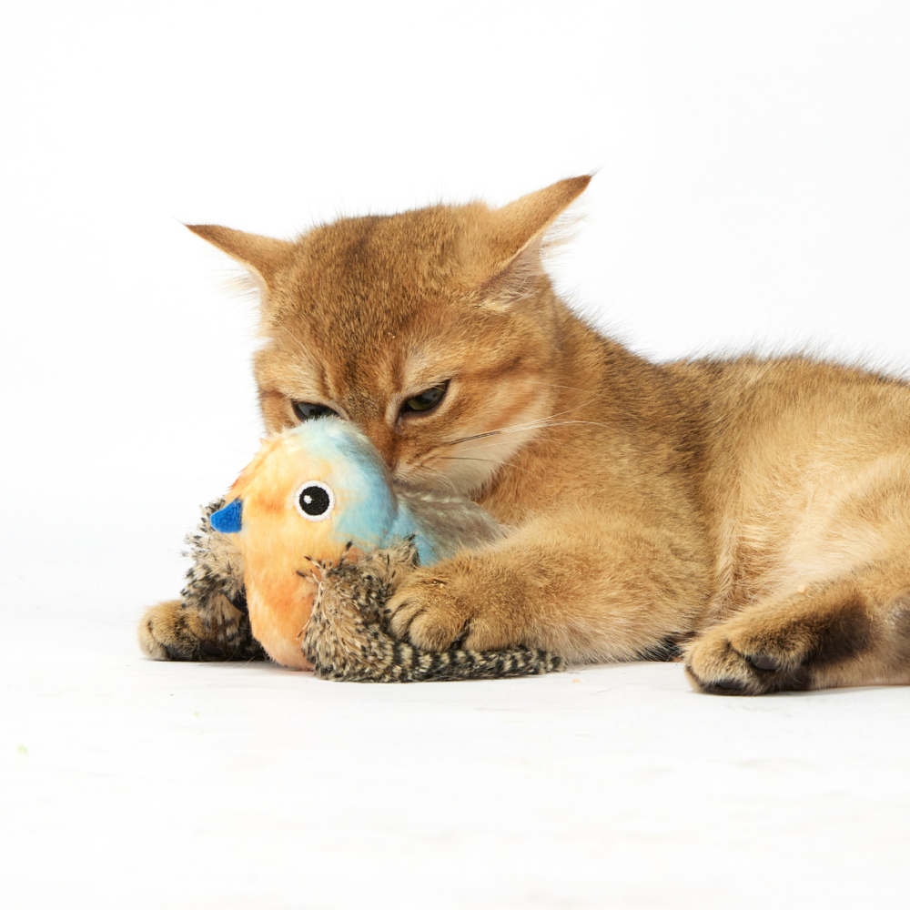 Barkbutler x Fofos Blue Bird with Catnip Balls Interactive Toy for Cats image 8
