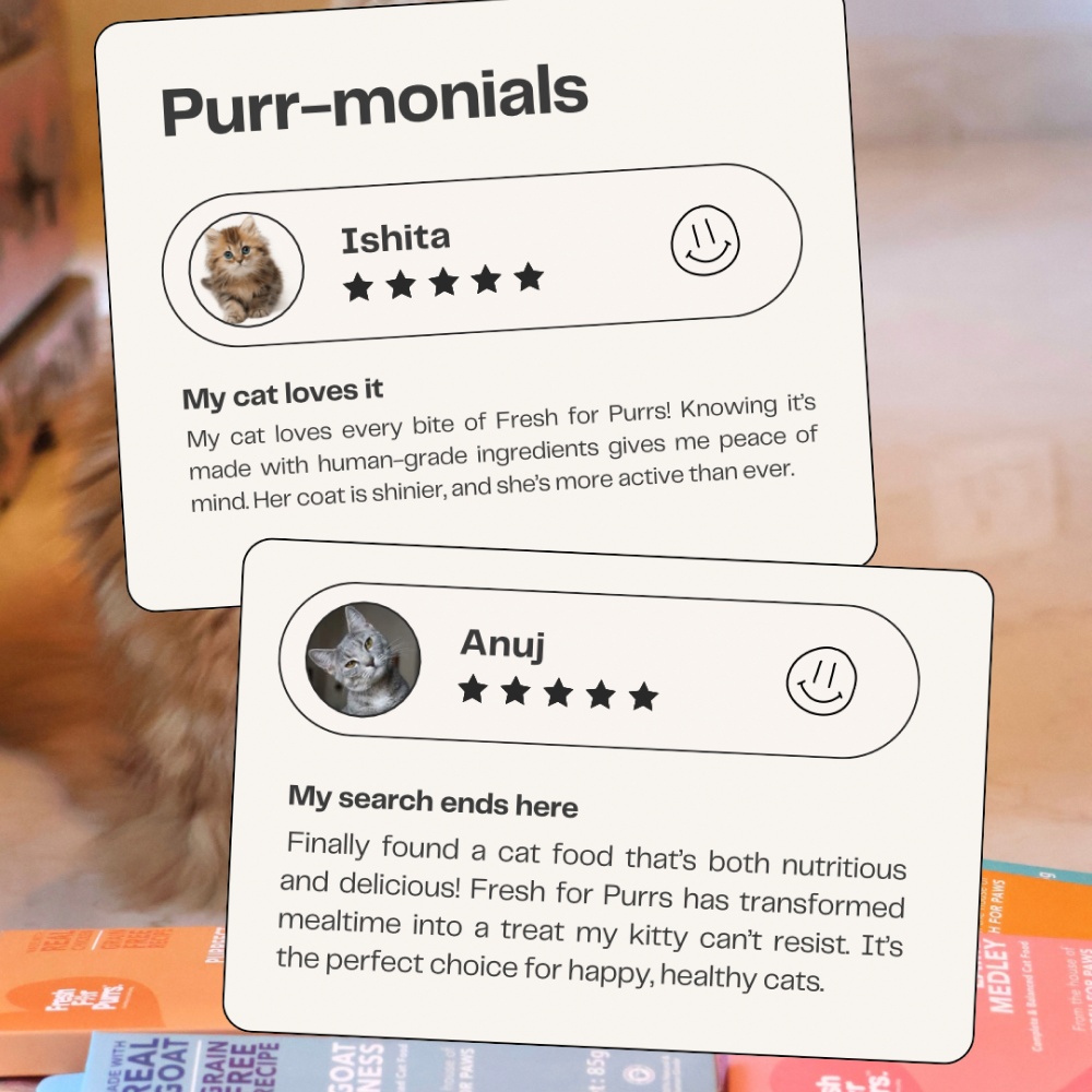 Fresh For Purrs Fin Tastic Fish Feast and Purrfect Chicken Delight Wet Cat Food Combo image 8
