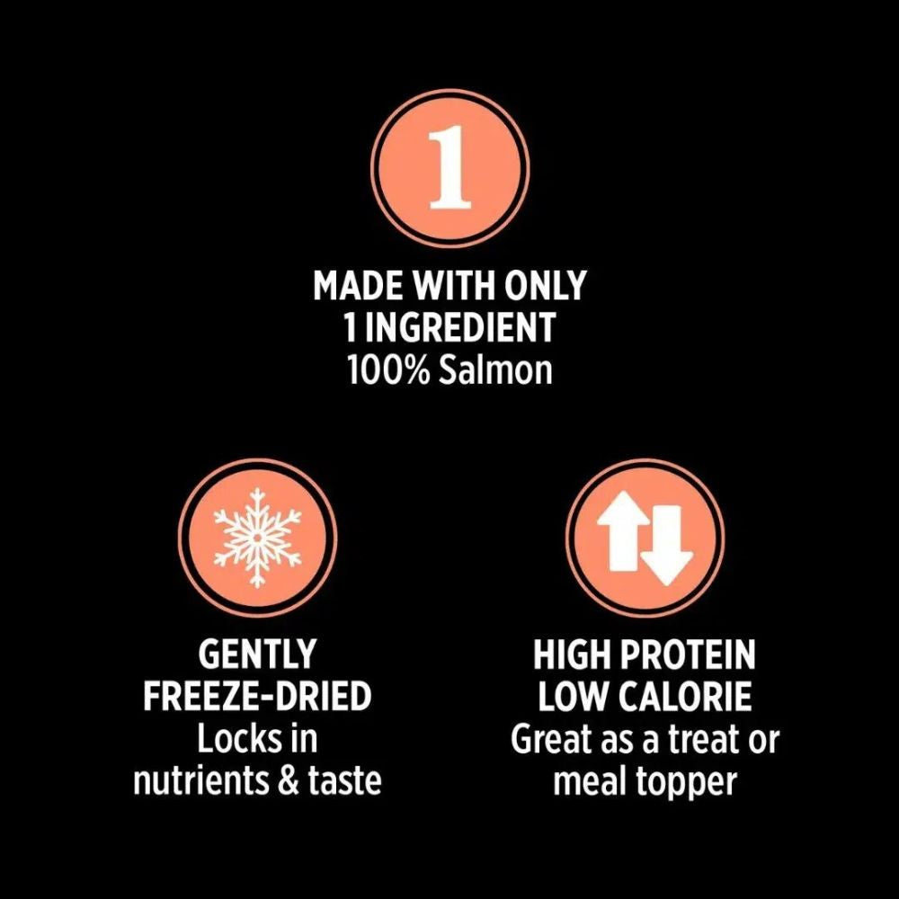 Nutrience Freeze Salmon Dried Cat Treats image 3