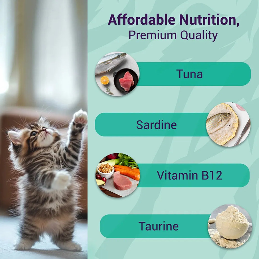 Purrfeto Oceanfish Recipe in Jelly Kitten Cat Wet Food image 2