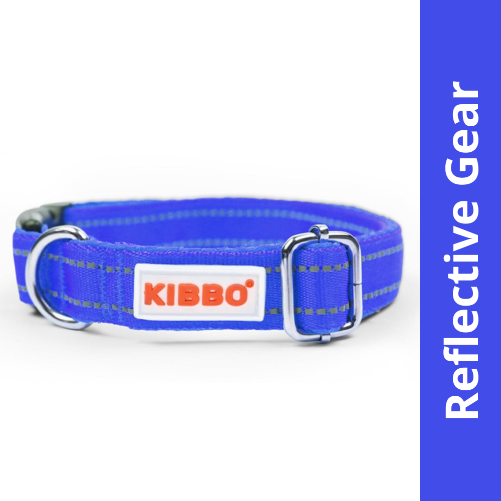 Kibbo Premium Reflective Padded With Soft Mesh Padding & Adjustable Design Collar for Dogs (Blue)
