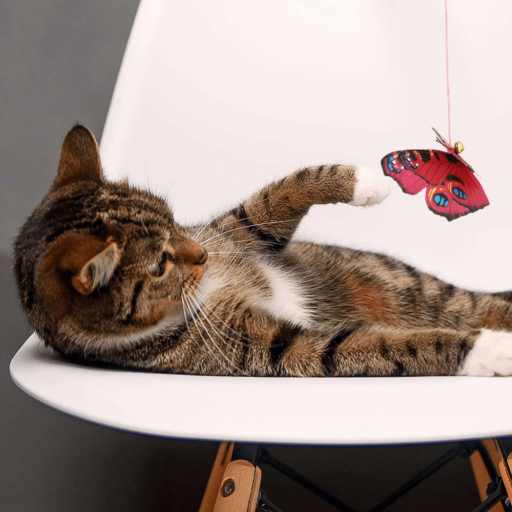 Basil Teaser with Butterfly & Bell Toy for Cats image 6