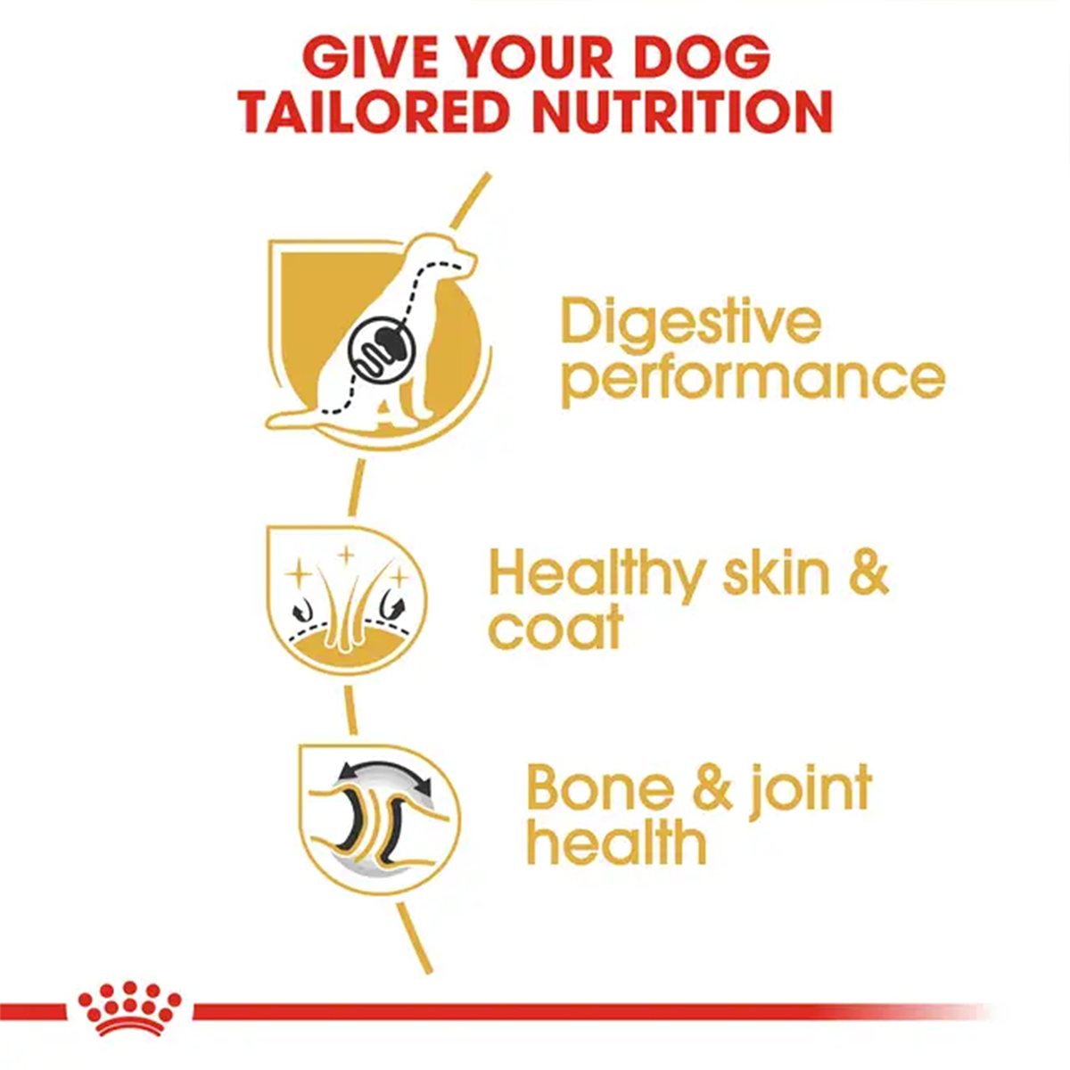 Royal Canin German Shepherd Adult Dog Dry Food image 6