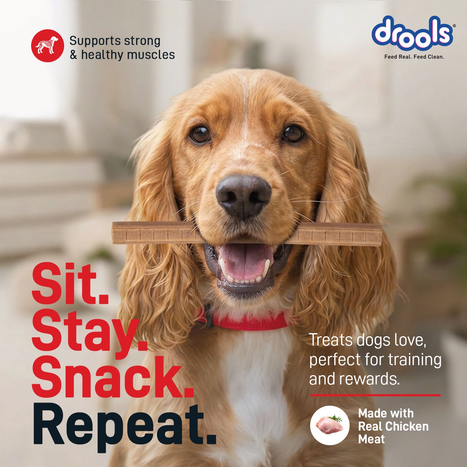Drools Chicken Sticks Dog treats image 10