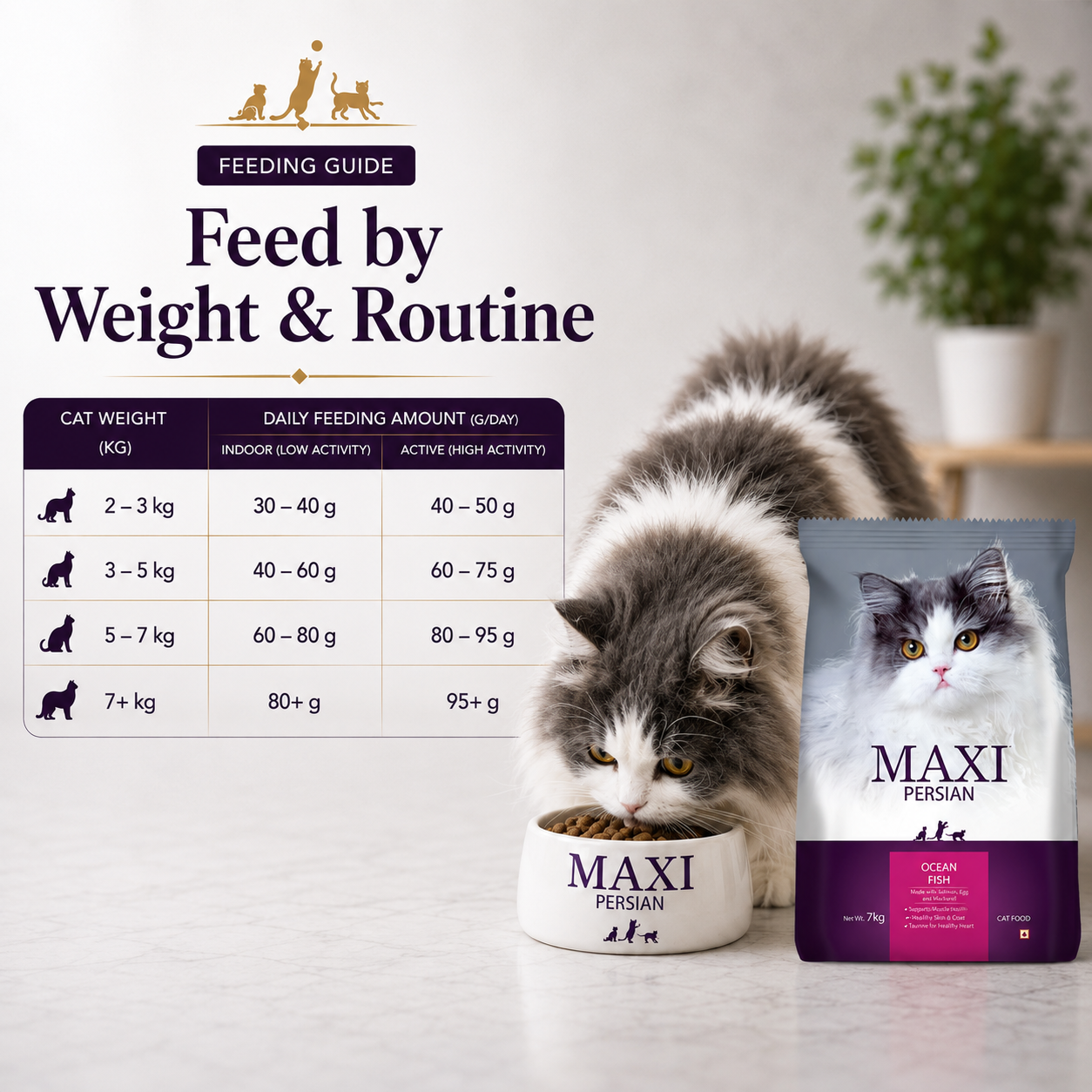 Maxi Persian Adult Cat Dry Food image 4