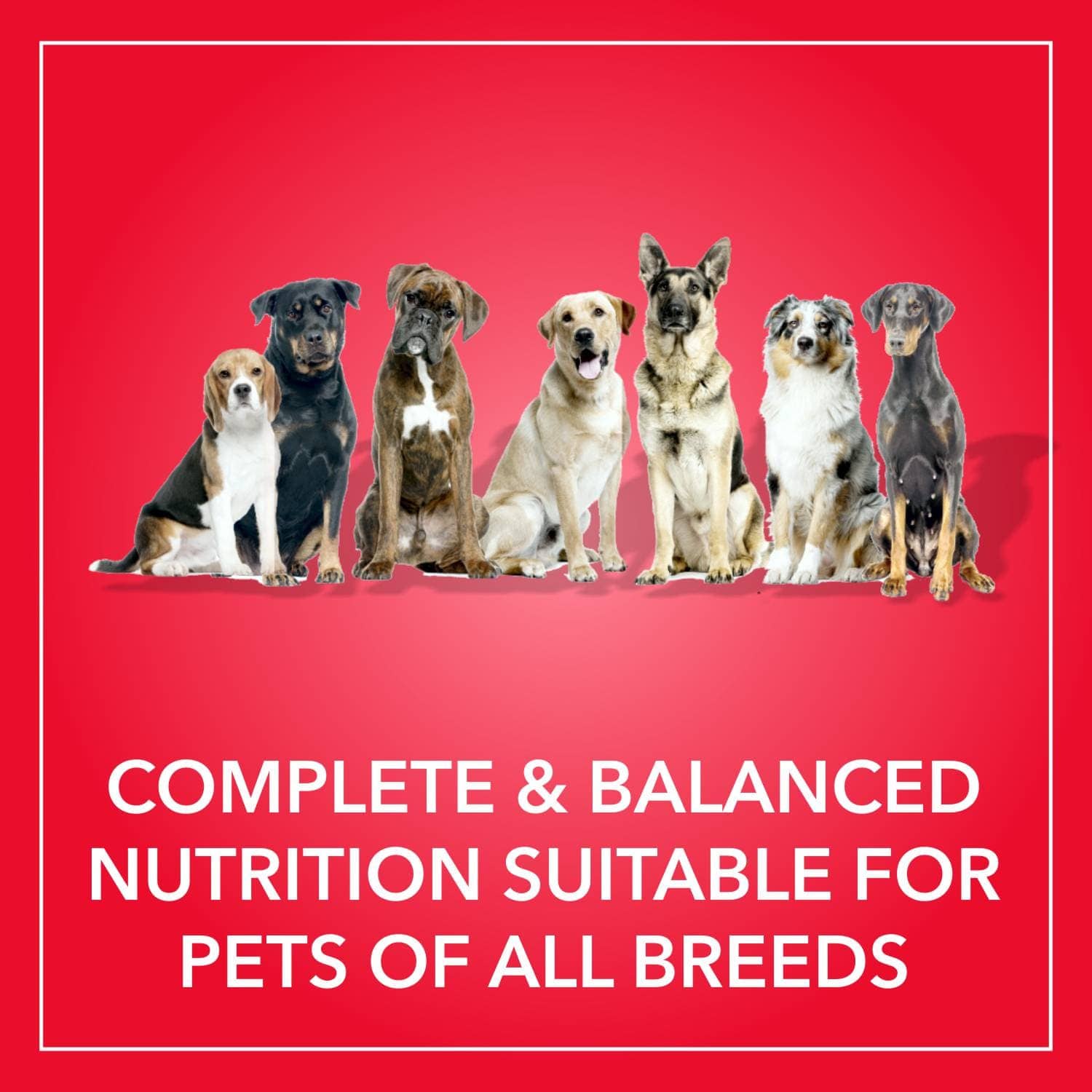 Purepet Meat and Rice Adult Dog Dry Food image 4