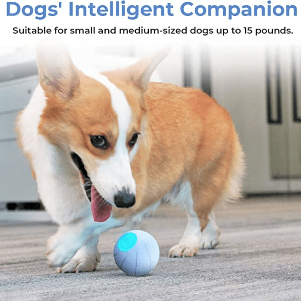 Cheerble Wicked SE Ball Toy for Dogs (Orange) | For Medium Chewers image 6