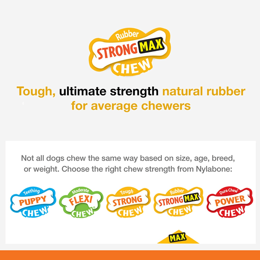 Nylabone Sliver Collection Beef Flavoured Stong Chew Toy for Dogs (Orange) image 4