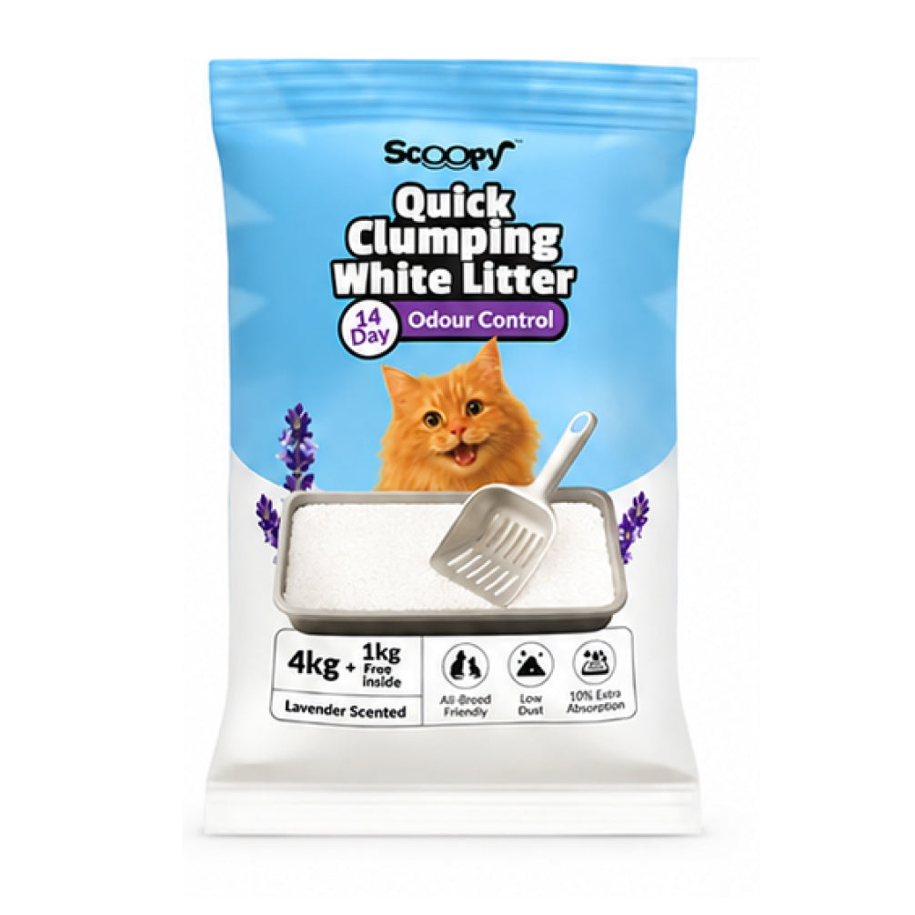 Scoopy Cat Litter | Lavender Scented | Quick Clumping | 100% Natural Bentonite White Sand