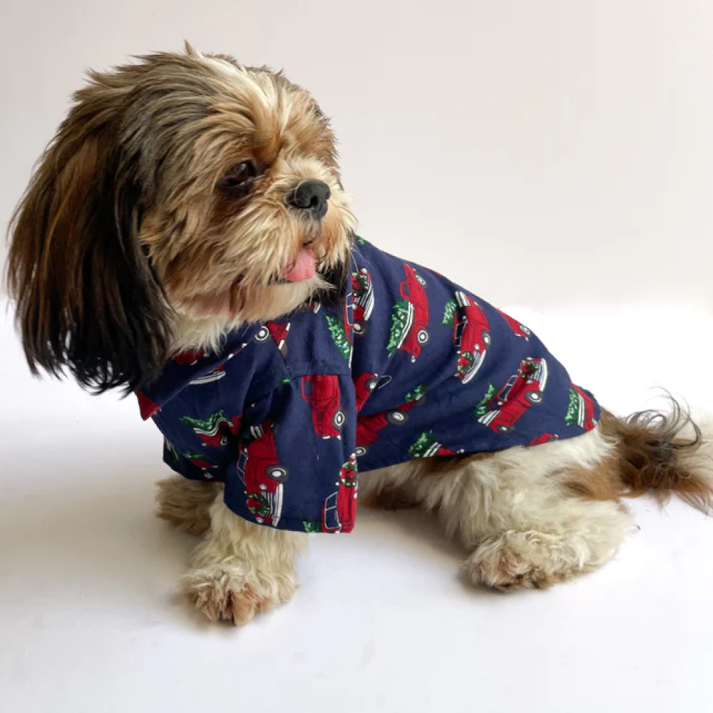 Pawgypets Warm Winter Cars Shirt for Dogs and Cats (Blue)