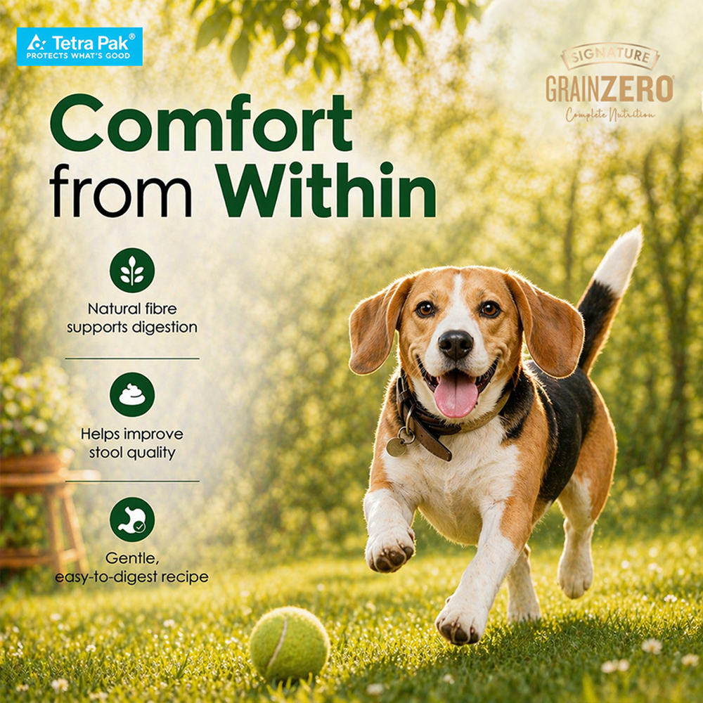 Signature Grain Zero Tetra Pack Real Lamb and Fresh Veggies Dog Fresh Food image 6