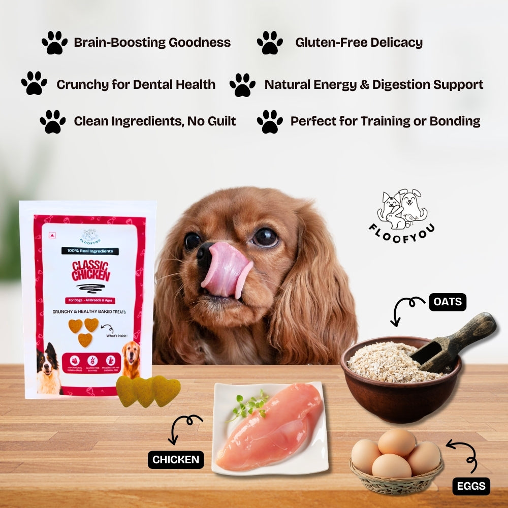 Floofyou Classic Chicken Oven Baked Cookie Dog Treats image 5