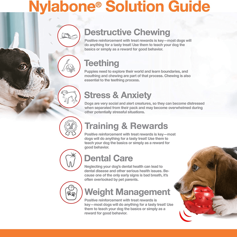 Nylabone Power Chew Flavor Frenzy Bone Twin Pack Toy for Dogs (Yellow, Brown) image 4
