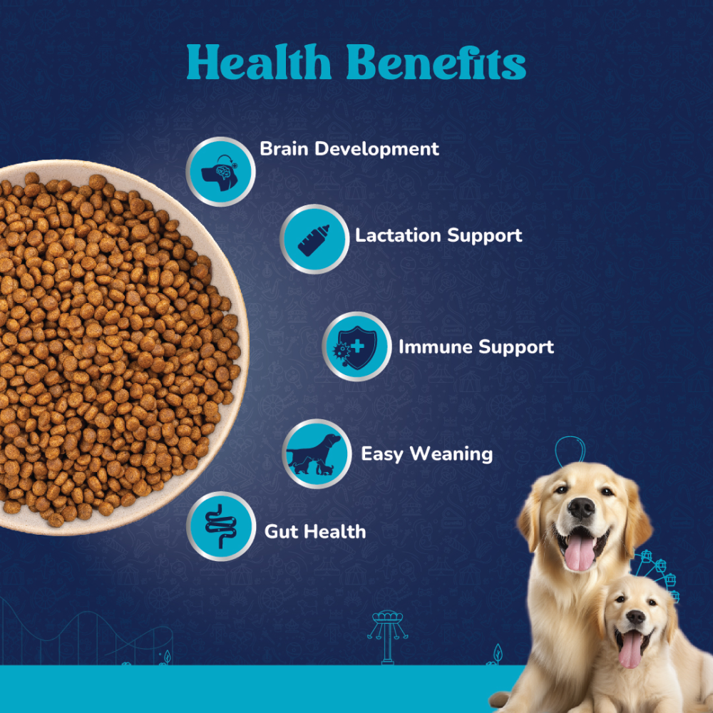 Carniwel Fresh Chicken Kibble Large Breed Starter Dog Dry Food image 8