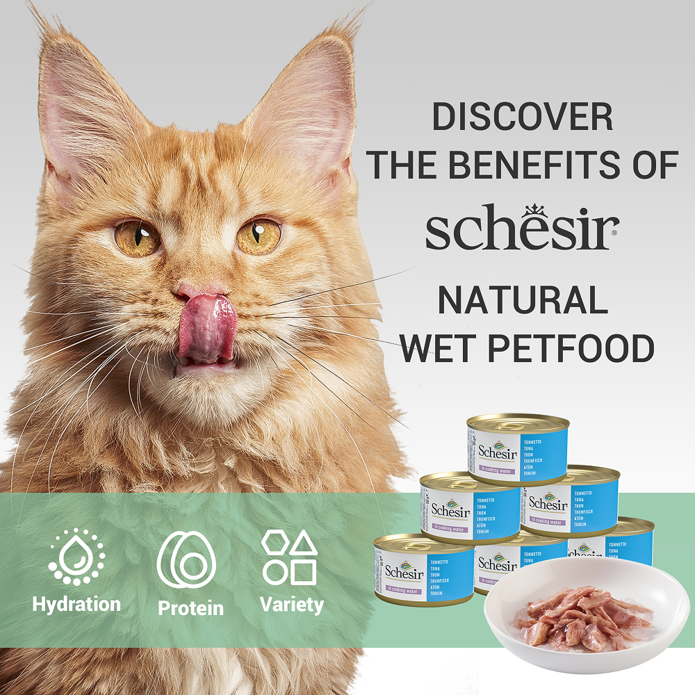 Schesir Tuna Whole Meat & Rice in Jelly Adult Cat Wet Food image 4
