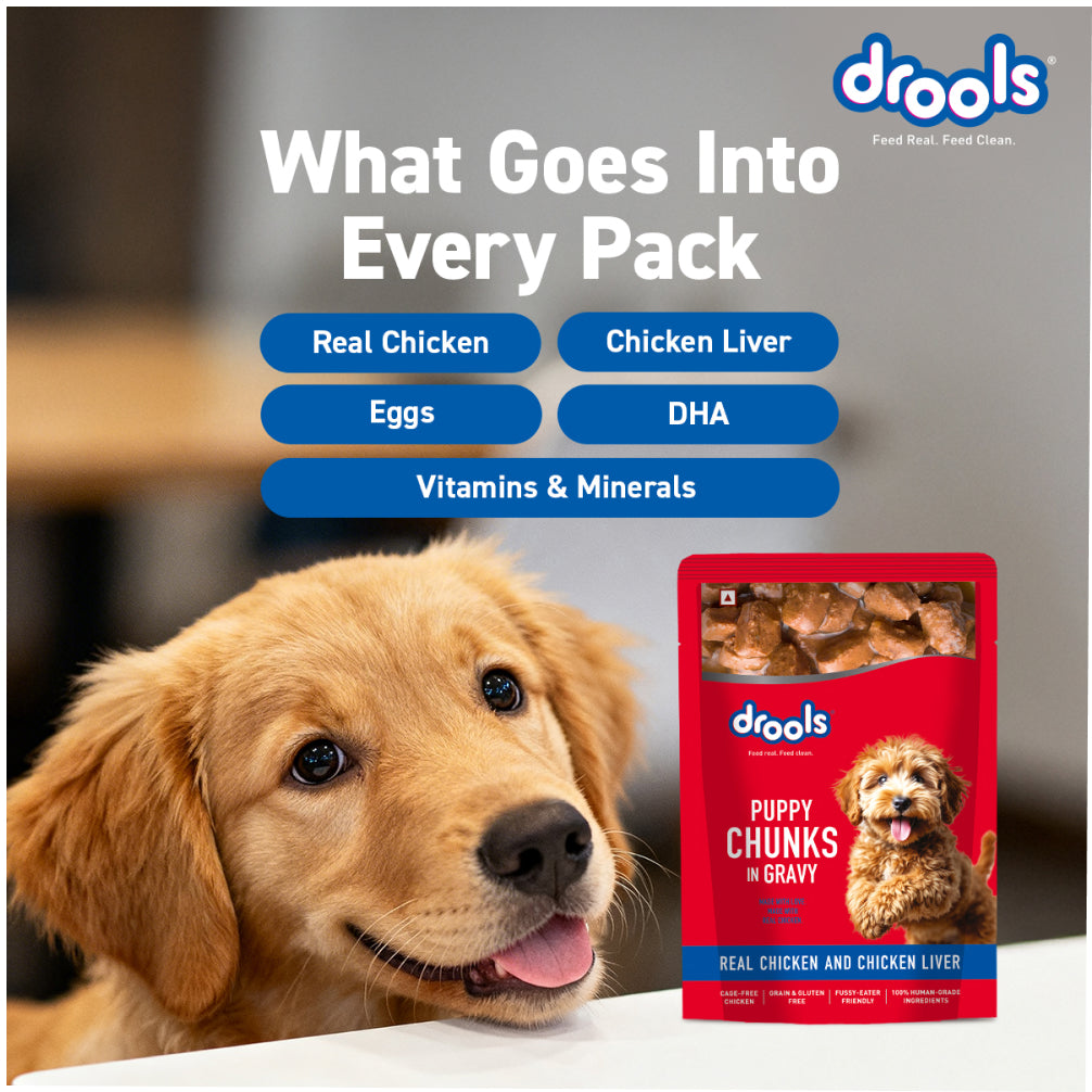 Drools Real Chicken & Chicken Liver Chunks in Gravy Puppy Dog Wet Food image 10