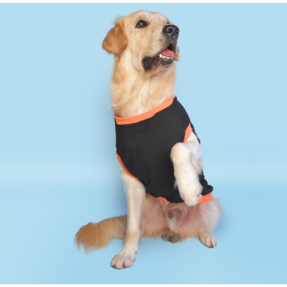 Pet Set Go Prince has Arrived T-shirt for Dogs (Black) image 4