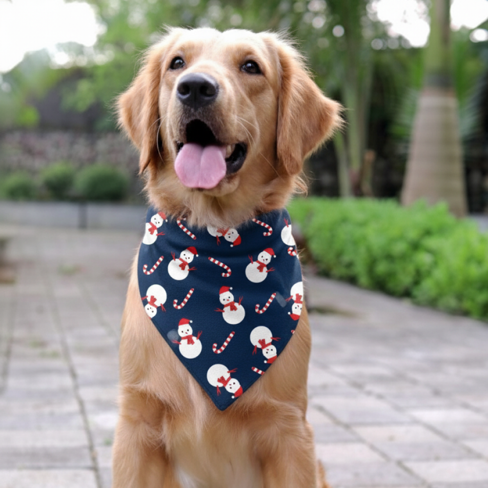 15Furries Snow Man Bandana for Dogs and Cats