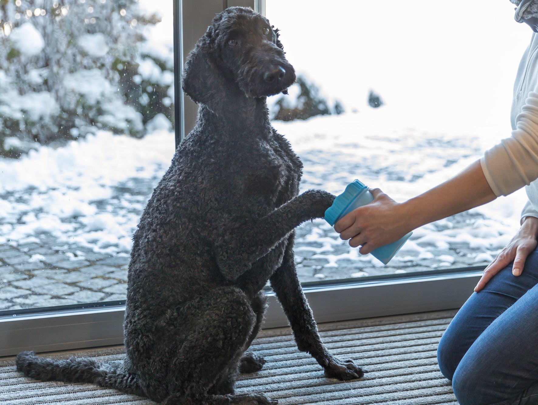 Trixie Paw Cleaner for Dogs and Cats image 5