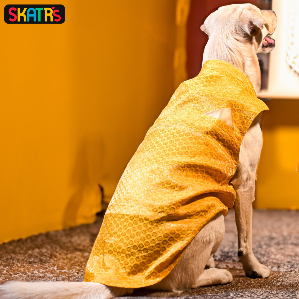 Skatrs Brocade Gold Printed Sherwani for Dogs and Cats (Yellow) image 7