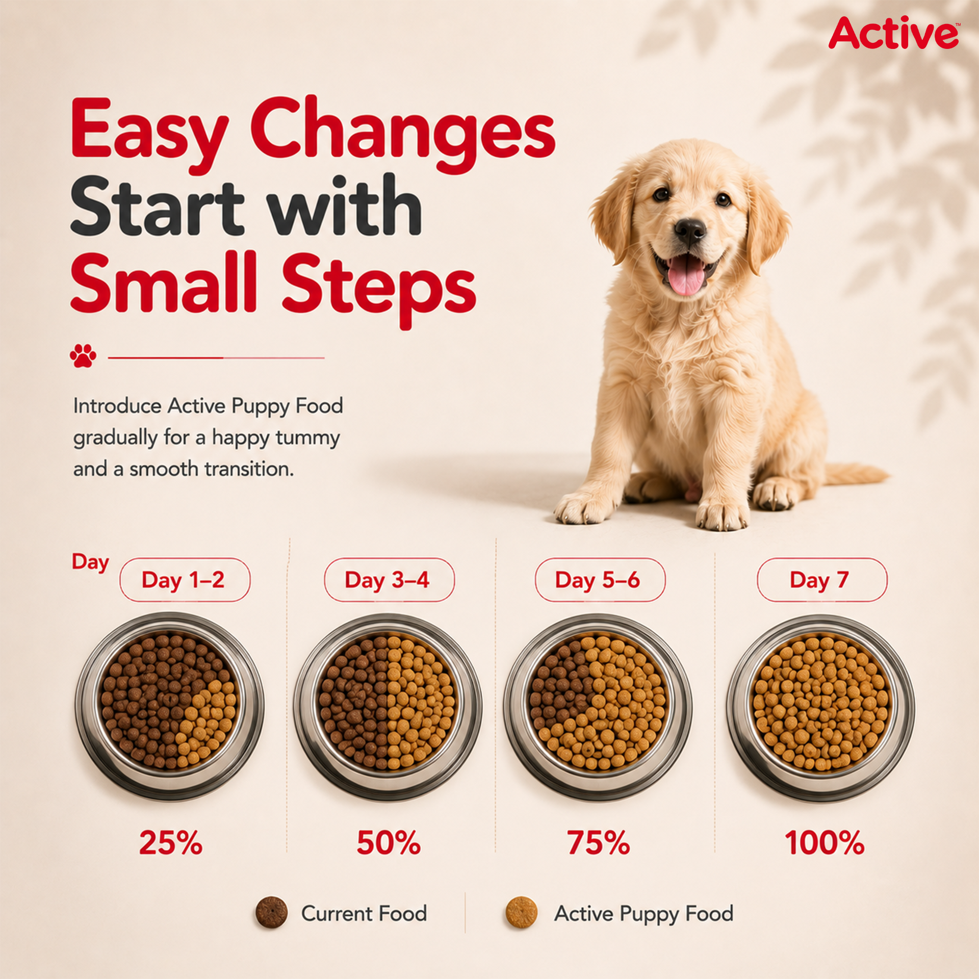Active Chicken and Vegetables Puppy Dog Dry Food (Buy 1 Get 1) image 8