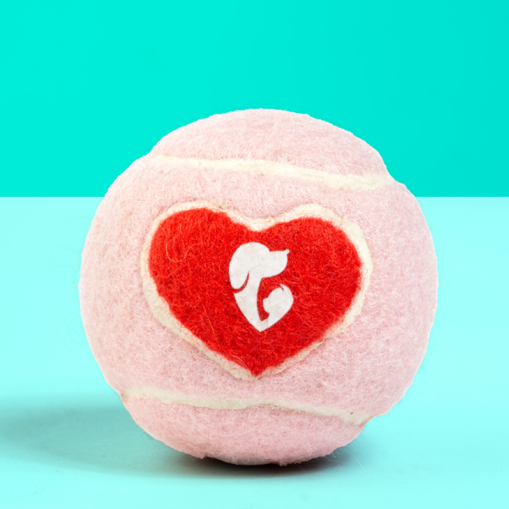 Pet Set Go Squeak Ball Toy for Dogs (Pink) image 1