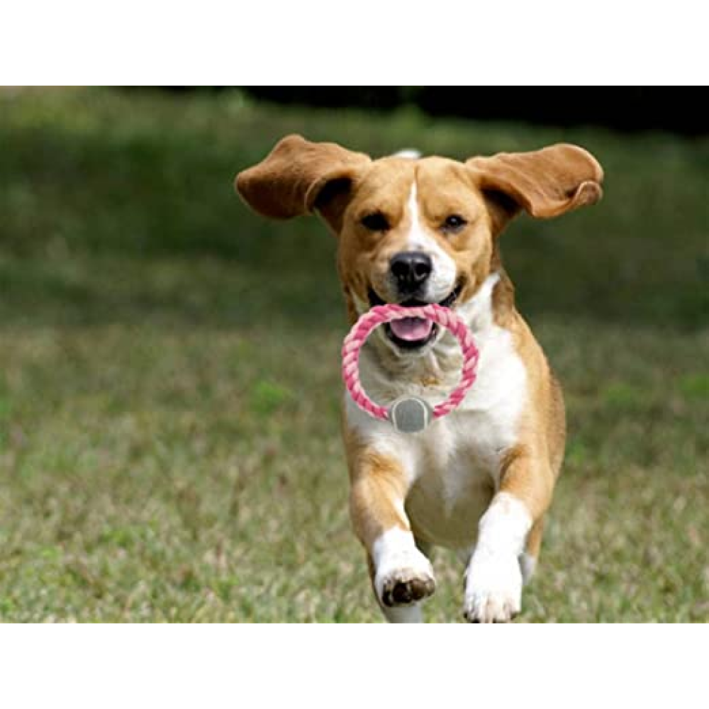 Trixie Rope Ring with Tennis Ball Toy for Dogs (Pink) | For Medium Chewers image 6