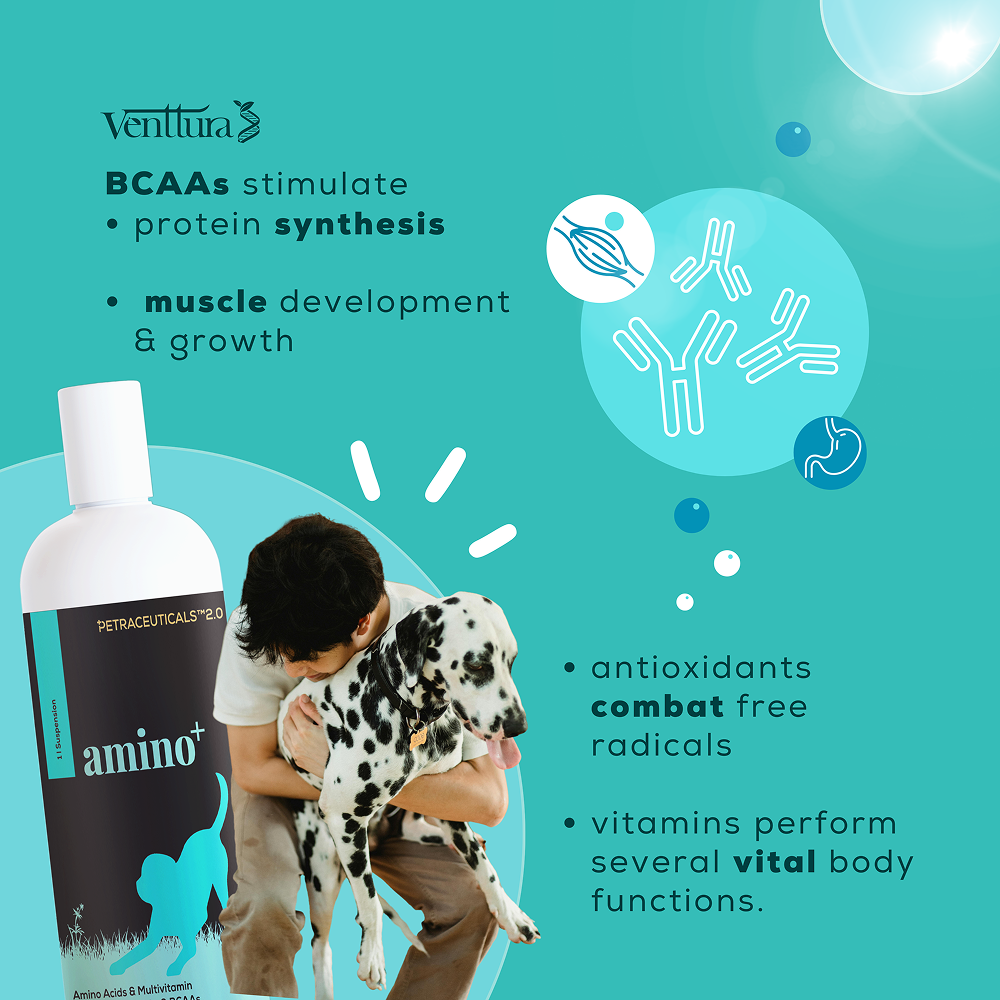 Venttura Amino Plus Syrup for Dogs image 6