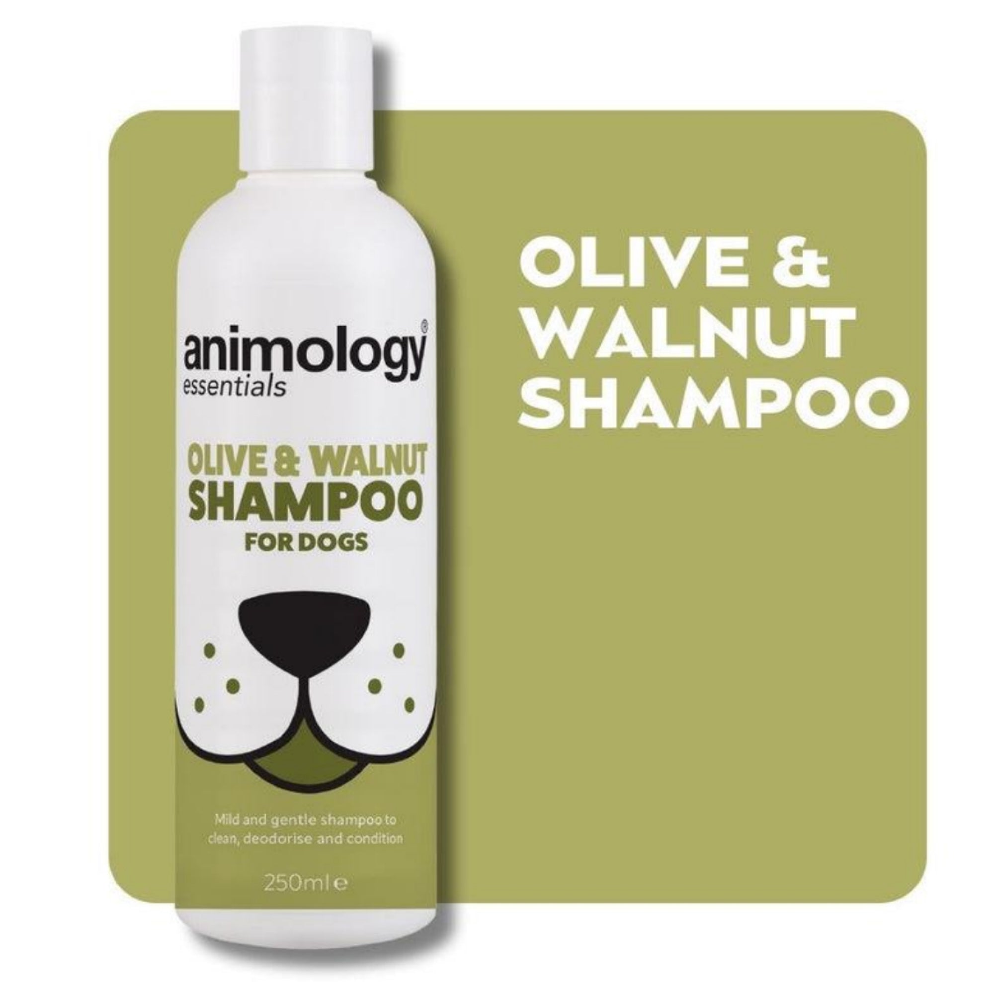 Saitrayaa Animology Essentials Olive and Walnut Shampoo for Dogs 250ml