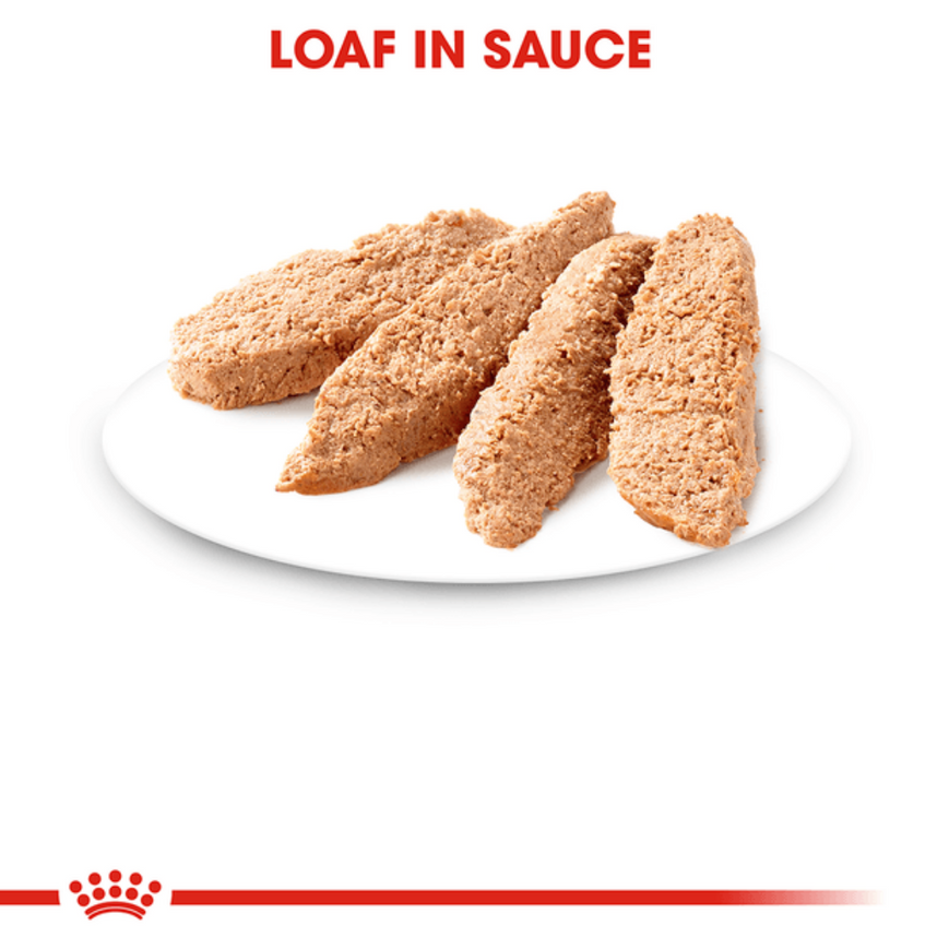 Royal Canin Instinctive Adult Loaf Mousse Cat Wet Food image 5