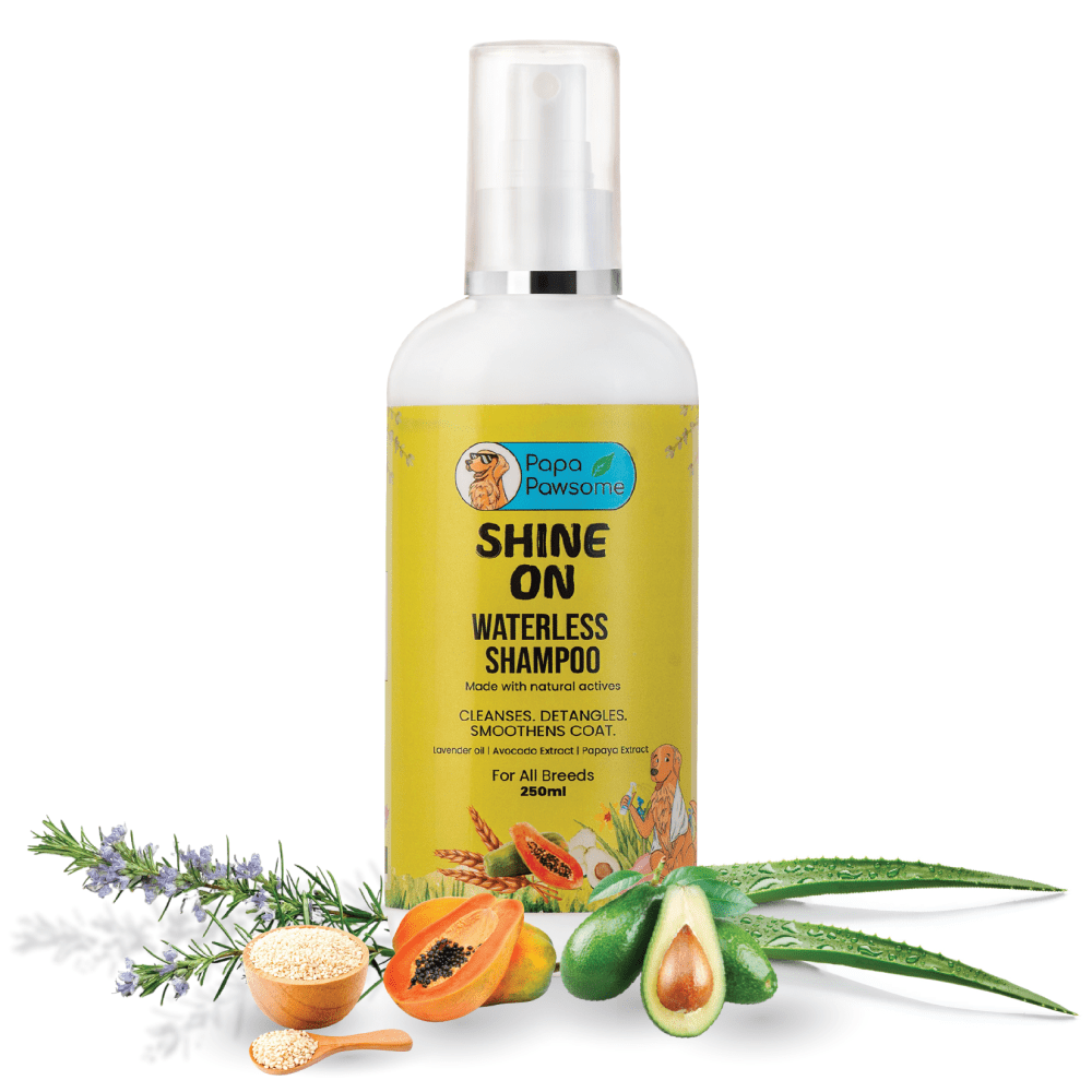 Papa Pawsome Shine On Waterless Shampoo for Dogs image 2