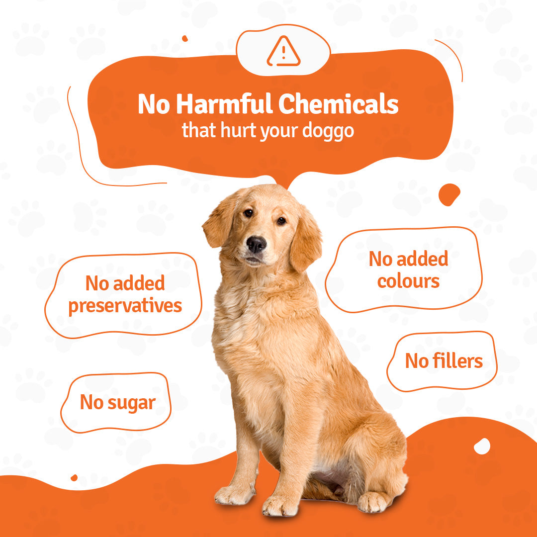 BLEP Paneer Quinoa Pawer Dog Wet Food (200g) image 5