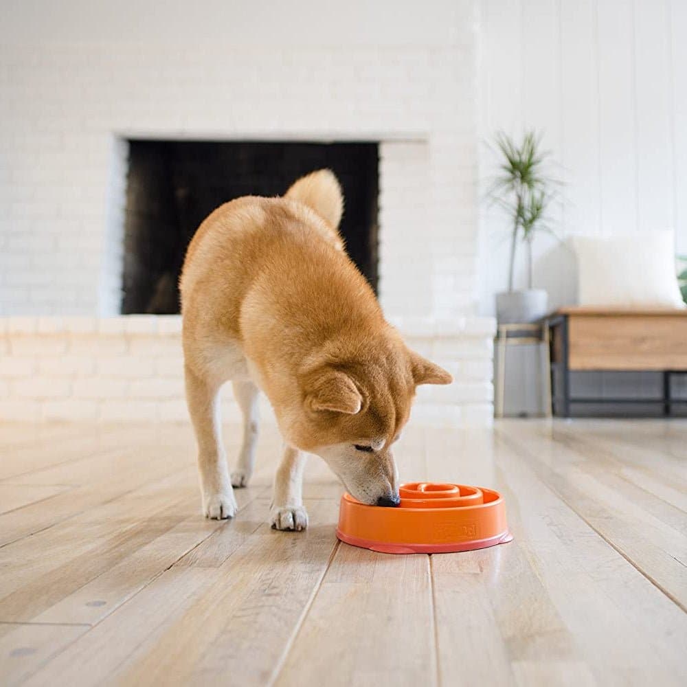 Outward Hound Fun/Slow Feeder for Dogs (Orange) image 6