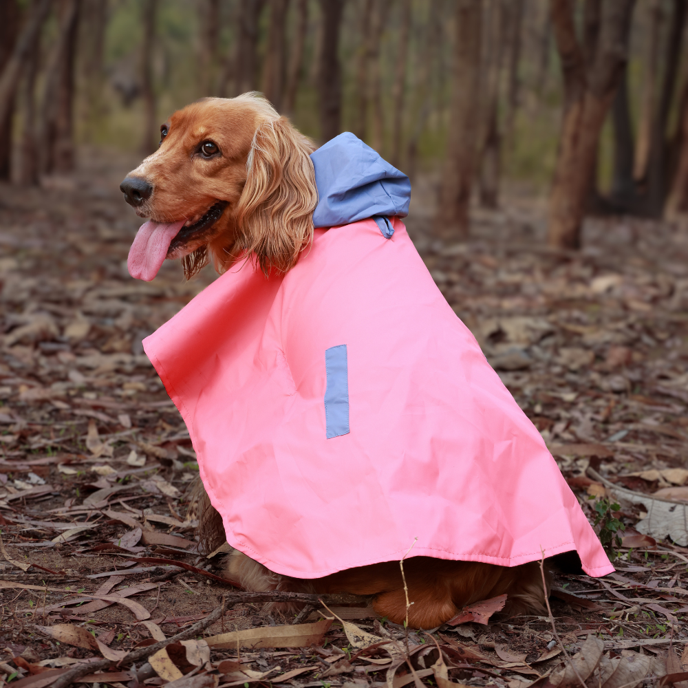 Pet Set Go Dual Colour Cape Style Raincoat for Dogs (Pink) image 4