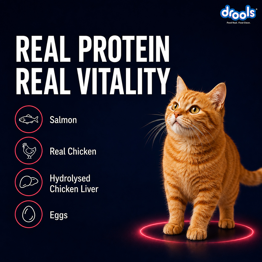 Drools Salmon Mousse Adult Cat Wet Food image 10