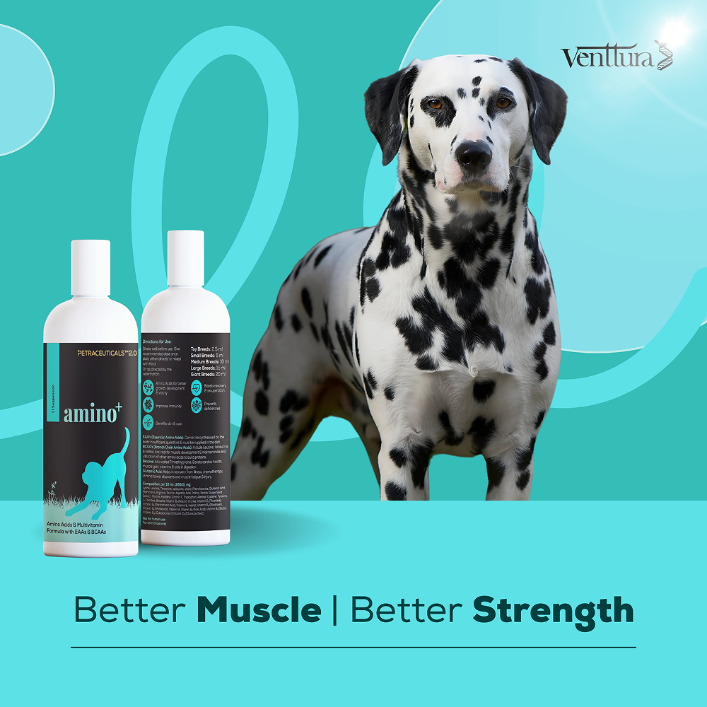 Venttura Amino Plus Syrup for Dogs image 7