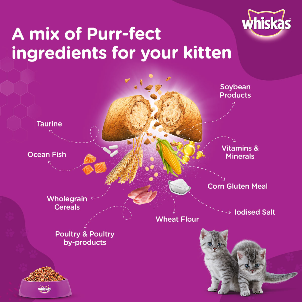 Whiskas Ocean Fish and Tuna in Jelly Kitten Dry and Wet Food Combo image 5