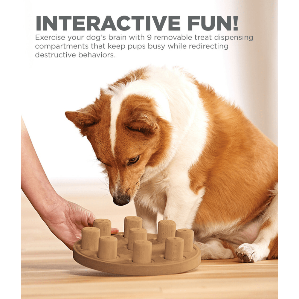 Outward Hound Nina Ottosson Dog Smart Composite Game for Dogs (Level 1 Beginner) image 6