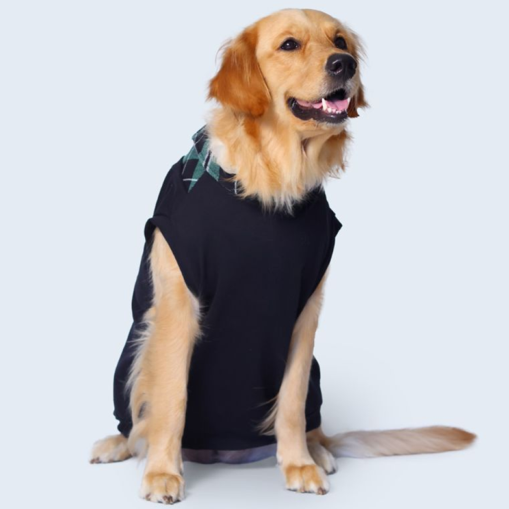 Pet Set Go Polo Knit Tshirt for Dogs (Black) image 5