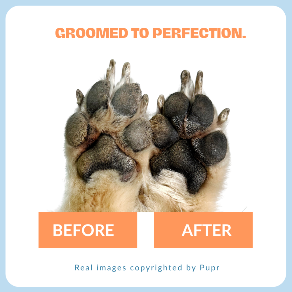 Pupr Lavender Scented Foam Paw Cleaner for Dogs image 6