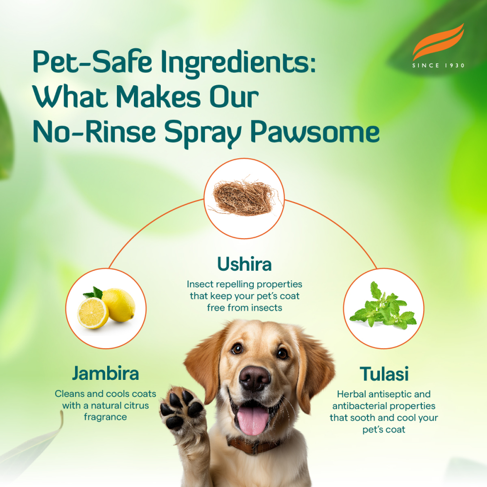 Himalaya Fresh Coat No Rinse Spray for Dogs and Cats image 4