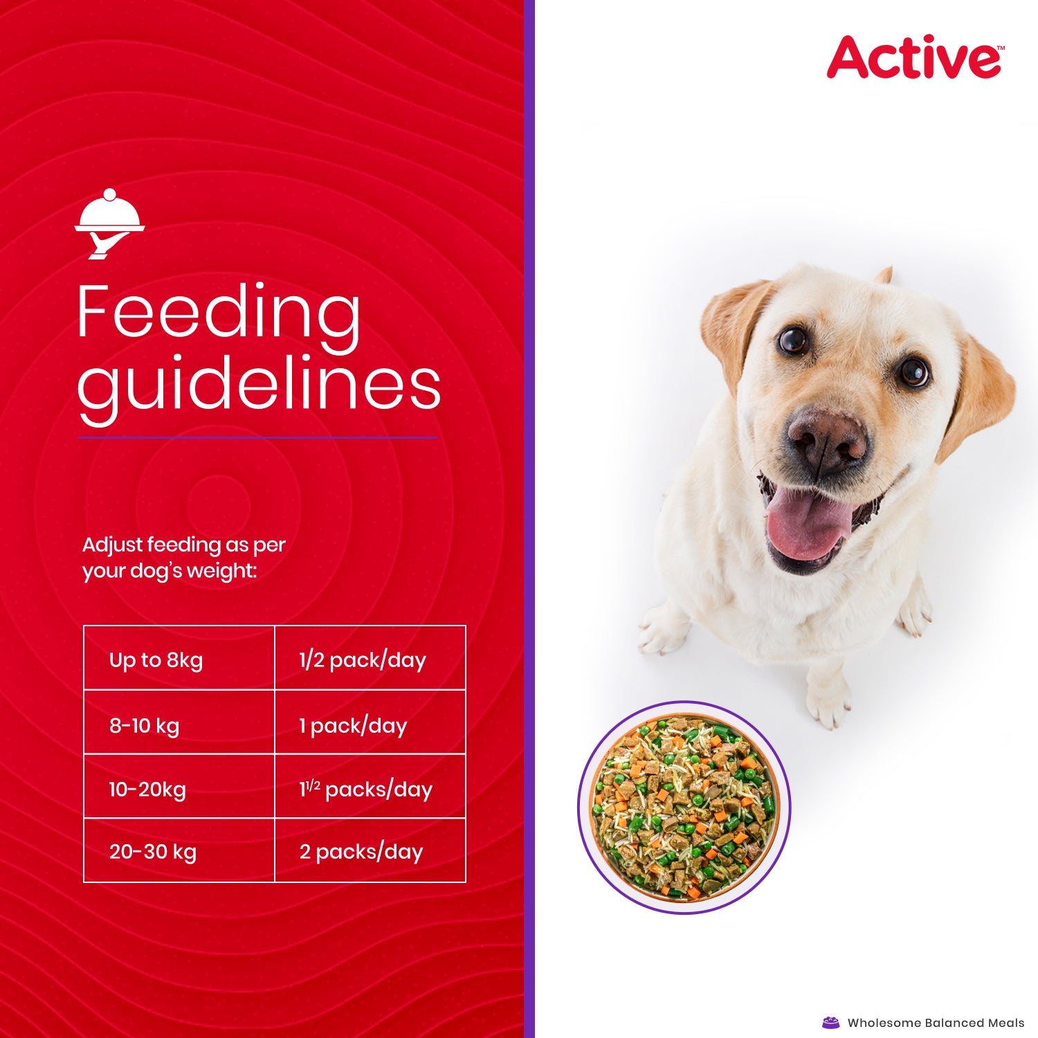 Active Chicken and Vegetable Biryani Fresh Food for Dogs (Buy 1 Get 1) image 6