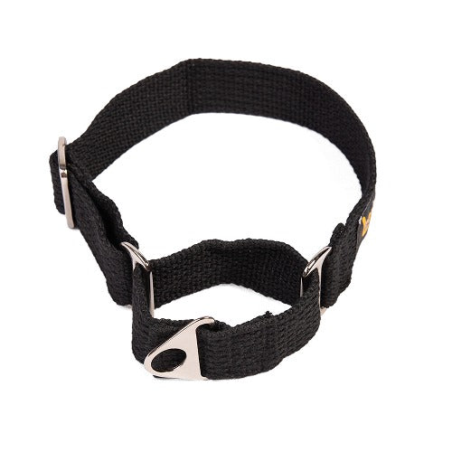 Let's Wag Martingale Collar for Dogs (Black) image 3