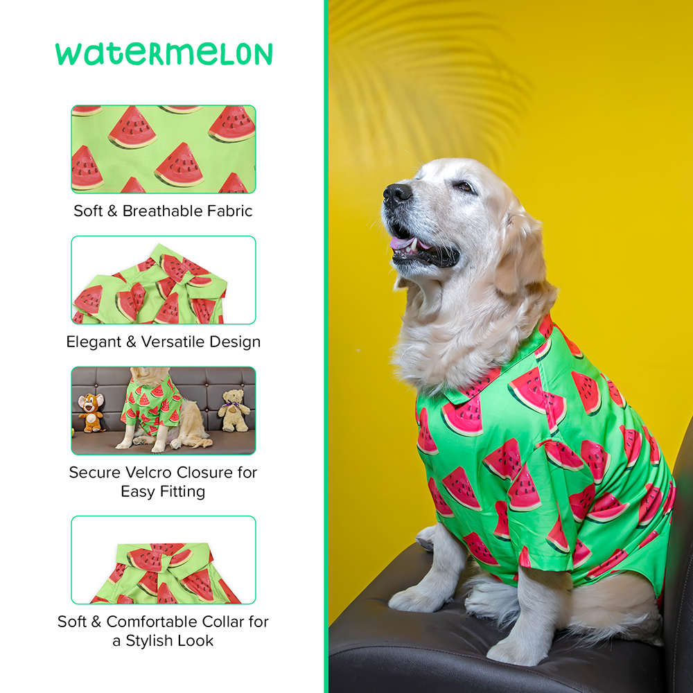 15buttons Watermelon Shirt for Dogs image 5
